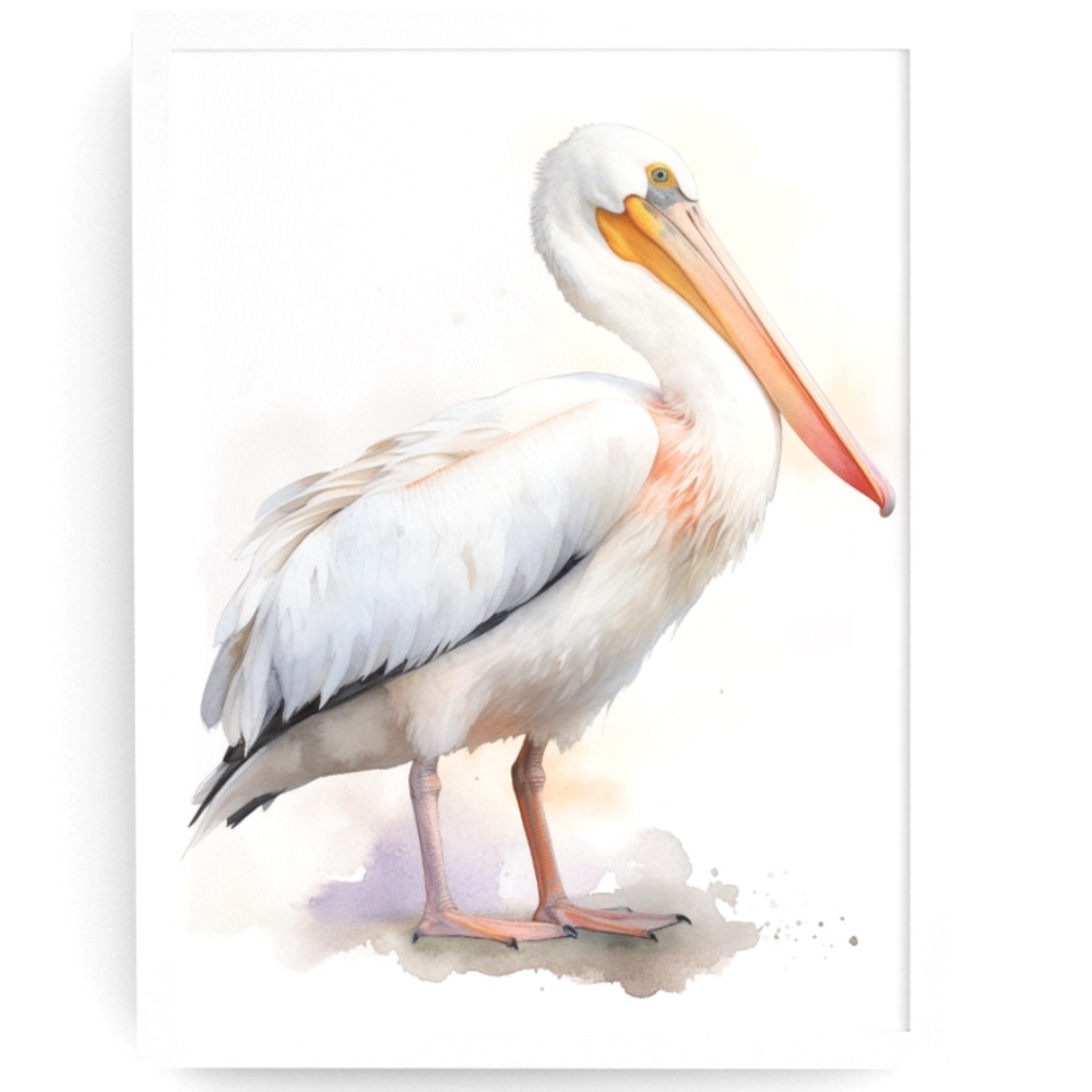 White Pelican Bird Wall Art Watercolor Illustration Print Poster Unframed